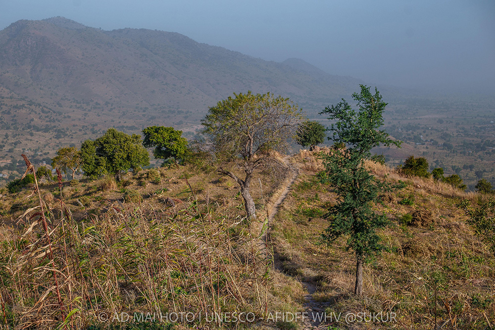 AFIDFF Launches Sukur Landscape Community Carbon Market (SLCCM) During UNESCO World Heritage Volunteers Initiative 2025